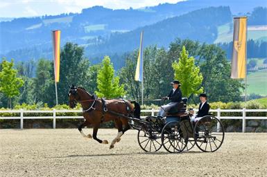 Mit dem Staatsmeistertitel für Marisa Rössler und dem Vizestaatsmeistertitel für David Hötsch durfte sich der burgenländische Fahrsport über ein äußerst erfolgreiches Wochenende freuen.