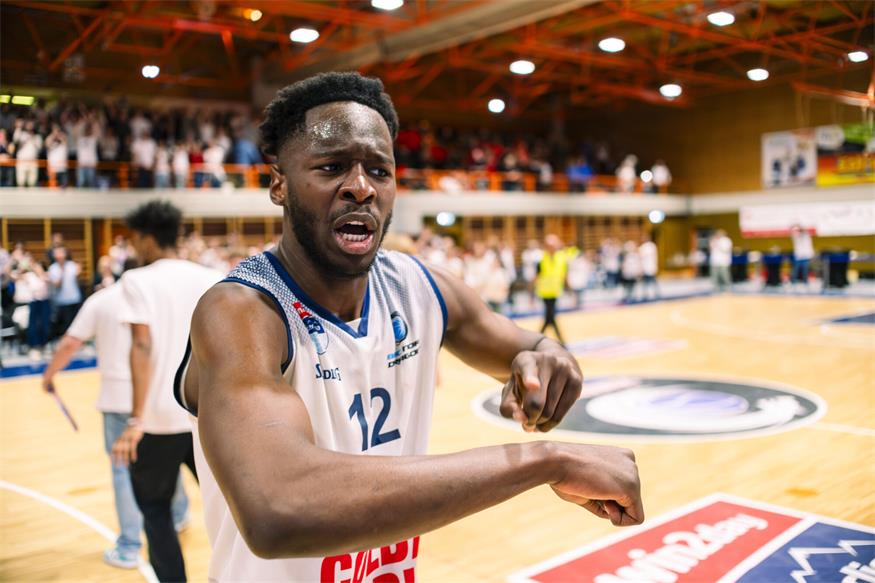 Die Sensation ist perfekt: Dragonz stehen im Halbfinale!