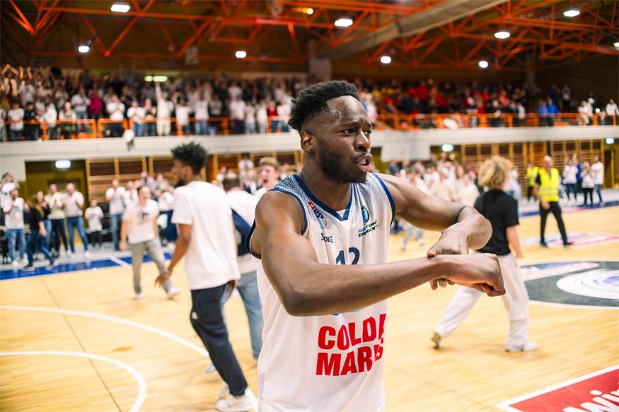 Die Sensation ist perfekt: Dragonz stehen im Halbfinale!