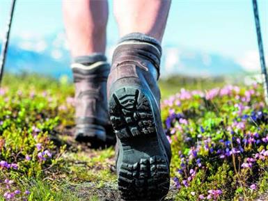 Naherholung. In Wimpassing erweitert ein Wanderweg in drei Längen das Freizeitangebot.