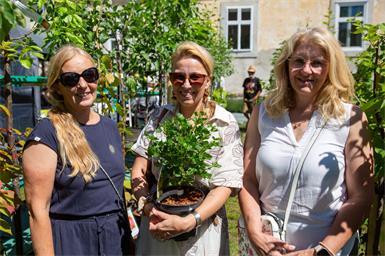 Natascha Hajszan, Miriam Schrantz und Sonja Geider. 