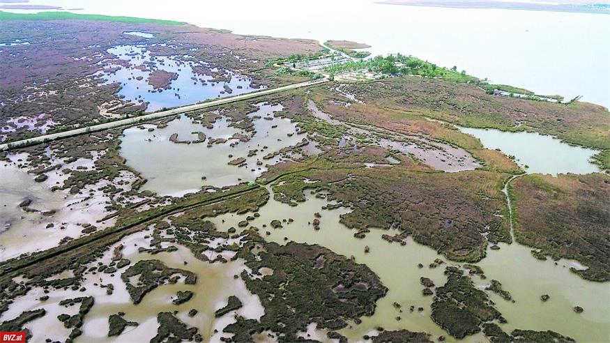 Nationalpark Neusiedler See-Seewinkel