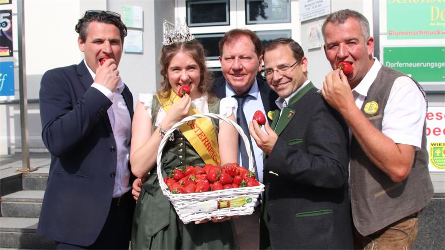 Nationalratsabgeordneter Christoph Zarits, Bürgermeister Matthias Weghofer, Wirtschaftskammerpräsident Andreas Wirth und Vizebürgermeister Christoph Ramhofer gratulierten Ines zur Krönung und ließen sich die süßen Wiesener Erdbeeren schmecken.