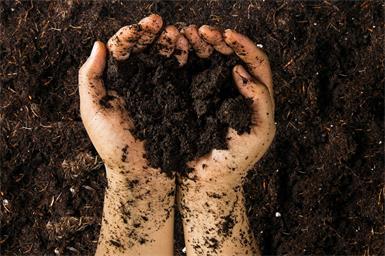 “Natur im Garten” ist eine österreichische Initiative, die sich für die Ökologisierung von Gärten und Grünräumen einsetzt. Sowohl Privathaushalte als auch Gemeinden oder Schulen können Teil davon sein. 