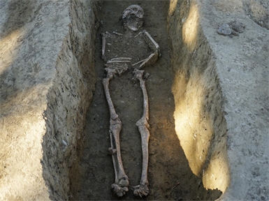 Neben mehreren Tierskeletten wurden auch die Überreste eines Menschen freigelegt. Nach ersten Einschätzungen dürfte die Person etwa 40 Jahre alt geworden sein.