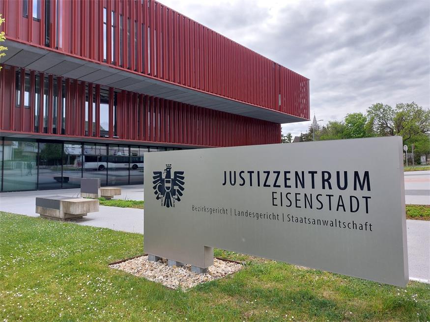 Nicht einmal ein Jahr nach dem letzten Urteil stand der Vorbestrafte wieder vor Gericht.
