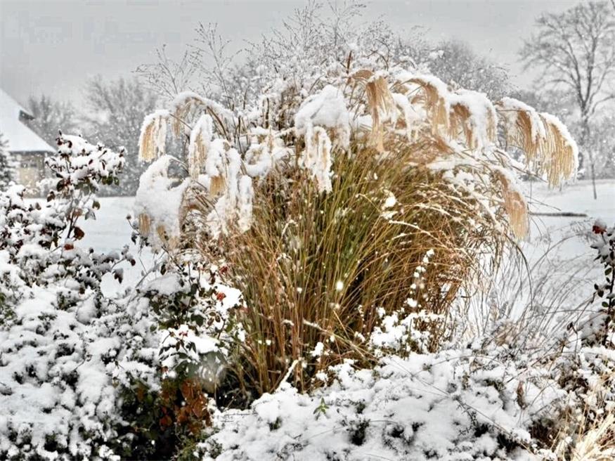17 neue Häuser entstehen Nun ist die ideale Zeit, um den eigenen Garten auf den Winter vorzubereiten.