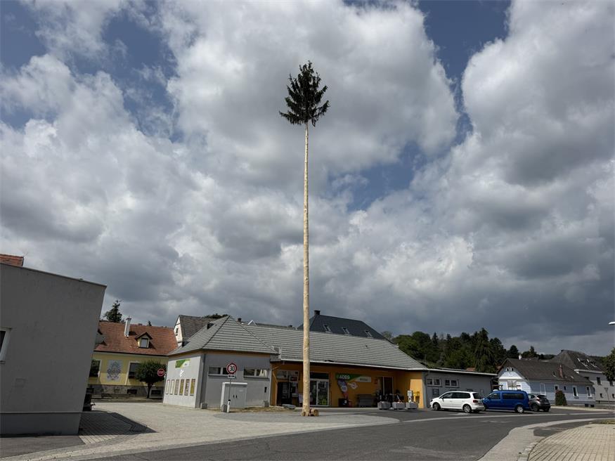 Burschbaum ziert Ritzinger Dorfplatz