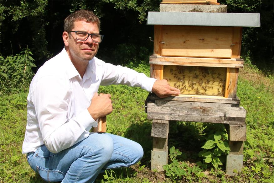 Obmann  Bernd Katona zeigte Interessierten am Schaubienenkasten, was im Inneren eines Bienenstocks los ist.