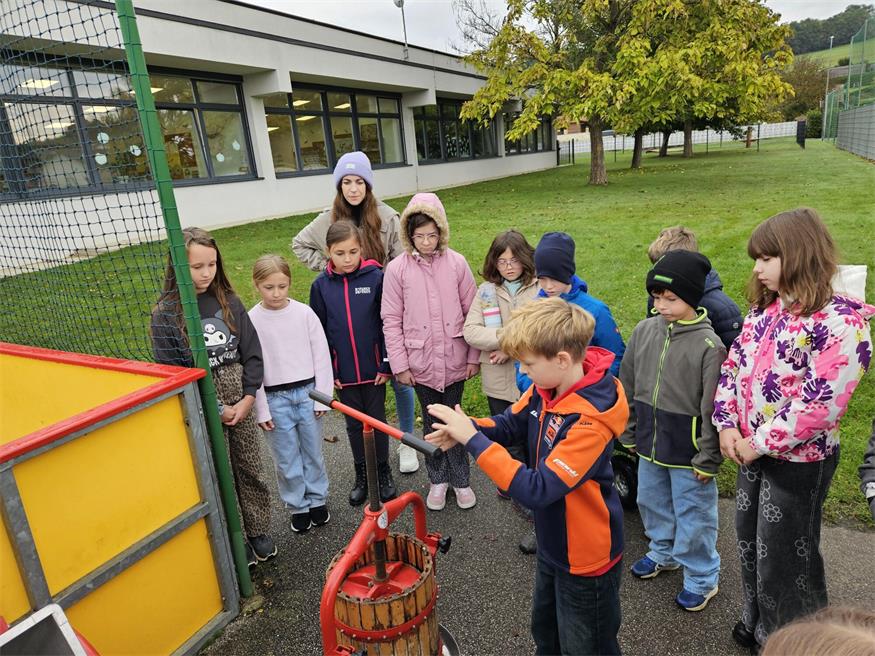 Ein Schultag im Zeichen des Apfels an der Volksschule Pilgersdorf