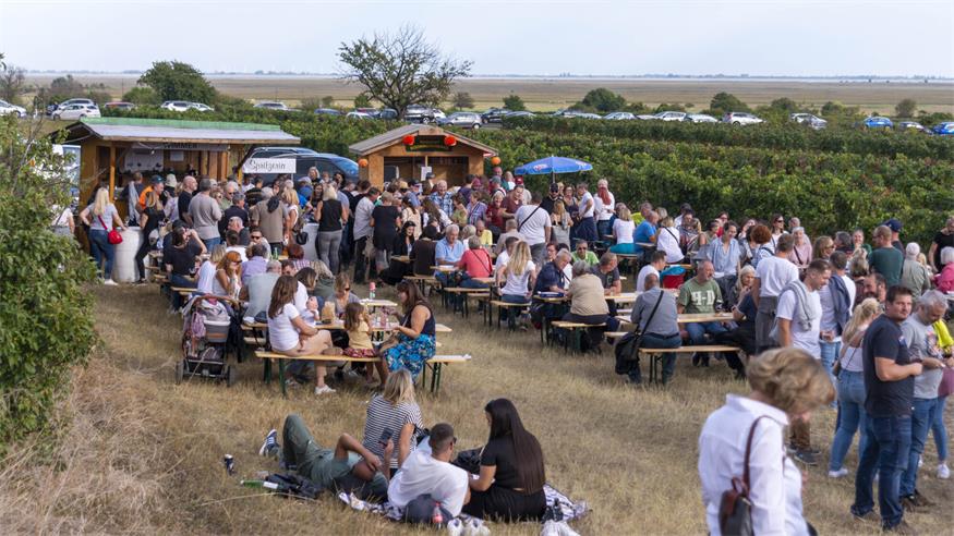 Picknick im Weingarten mit Gansl und Wein - da schlägt das Burgenländer-Herz höher.