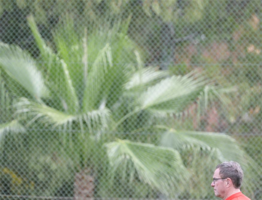 Rangnick trainiert mit seinem Team unter Palmen