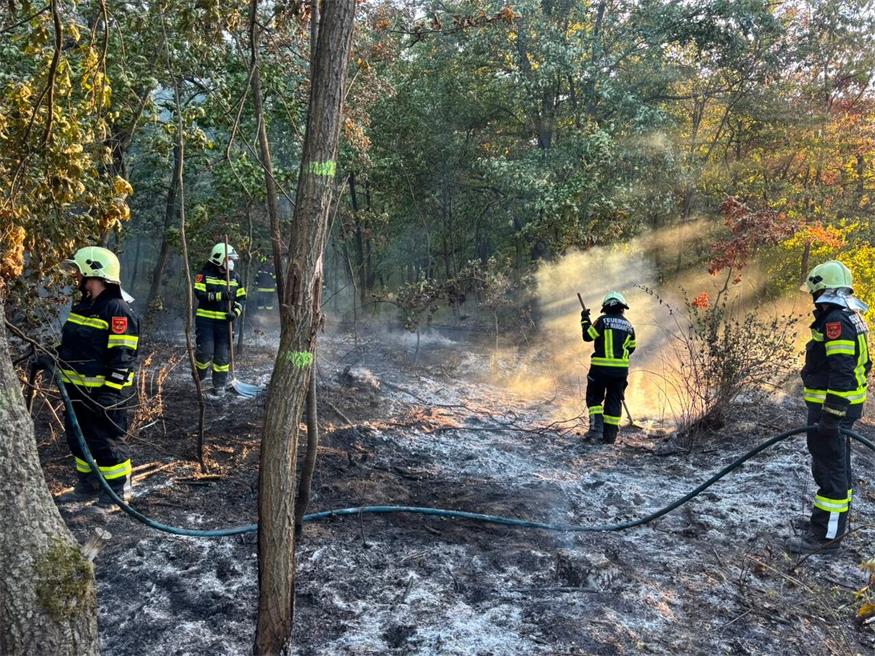 Rund 70 Feuerwehrmitglieder standen mit zehn Fahrzeugen im Einsatz und konnten eine weitere Ausbreitung verhindern.