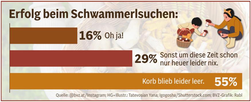 Schwammerl-Glück: Nur wenige wurden fündig.