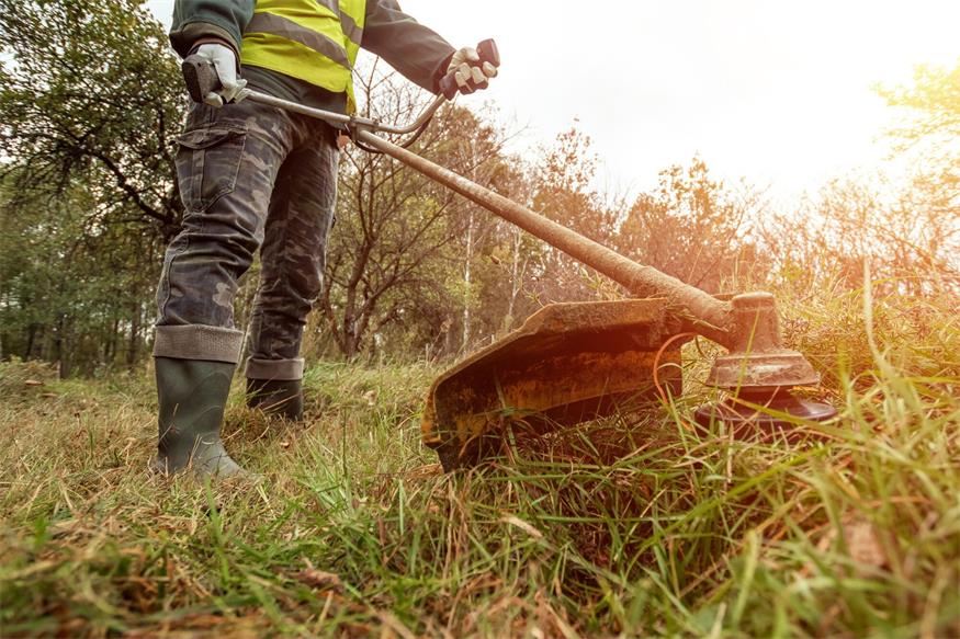 Seit 1. Juli gilt die verpflichtende gemeinnützige Arbeit im Burgenland: 40 Asylwerberinnen und Asylwerber sind derzeit im Einsatz.