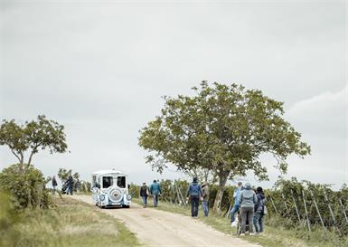 Sturmwanderung. Freunde des Wanderns, der Natur und des Genusses kommen am 12. September (14 bis 18 Uhr) in Neusiedl am See auf ihre Kosten – und zwar bei einem gemütlichen Spaziergang in einer der ältesten Weinrieden der Stadt mit Blick auf den See. Entlang der Route dürfen bei mehrere Stationen Sturm, Wein und Speisen verkostet werden. Start der familientaugliche Rundwanderung (3,5 Kilometer) ist in der Neubergstraße 1. Ab 18 Uhr geht's mit „Sturm & Beats“, der Afterparty im Weingarten, weiter. 