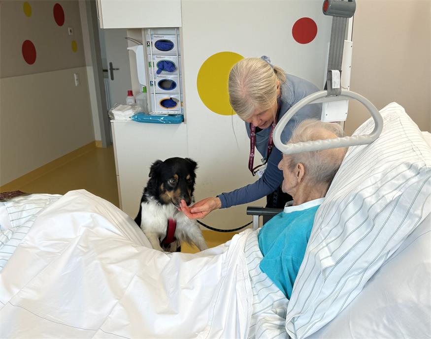 Therapiehündin Lotte ist für die Palliativpatientinnen und -patienten von Oberärztin Katharina Mach eine einfühlsame Begleiterin.