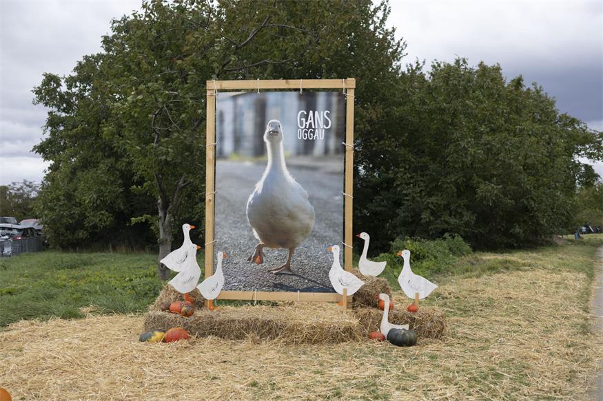 Oggau: „Gans nett“ war's am Originalstandort