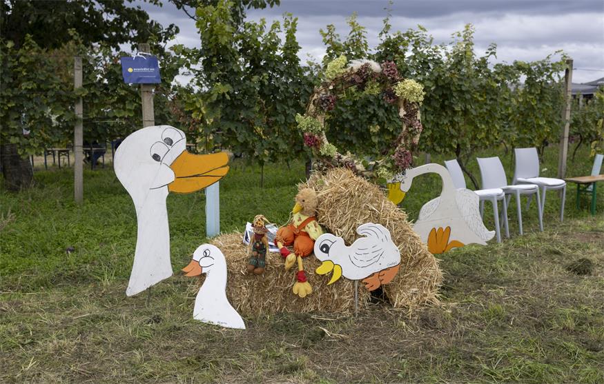 Oggau: „Gans nett“ war's am Originalstandort