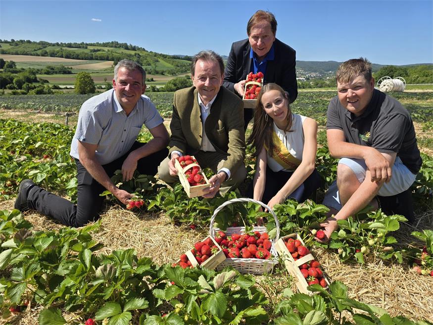 Vizebürgermeister und Erdbeerbauer Christoph Ramhofer, Landwirtschaftskammerpräsident Nikolaus Berlakovich, Wiesens Bürgermeister Matthias Weghofer, Lara I. und Erdbeerbauer Michael Habeler freuen sich, dass die heimischen Erdbeeren heuer besonders geschmacksintensiv sind.