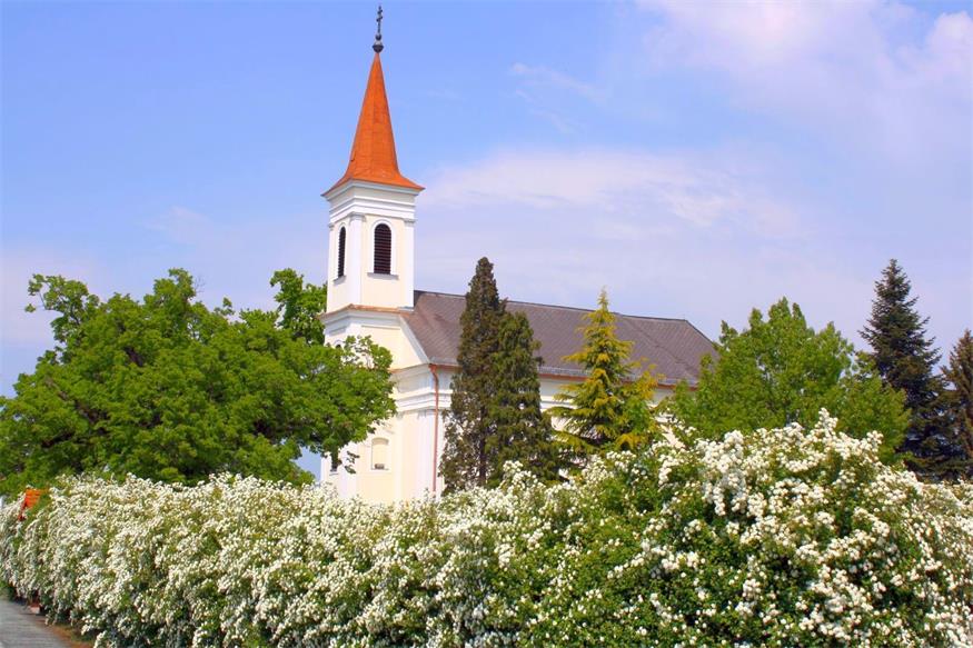 Vom 31. August bis zum 4. September ist die Kirche täglich bis 17 Uhr geöffnet.