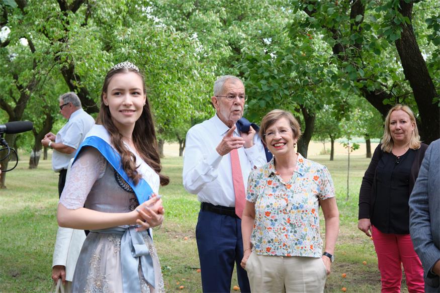 Größte Marillengemeinde Österreichs: Van der Bellen besuchte Kittsee