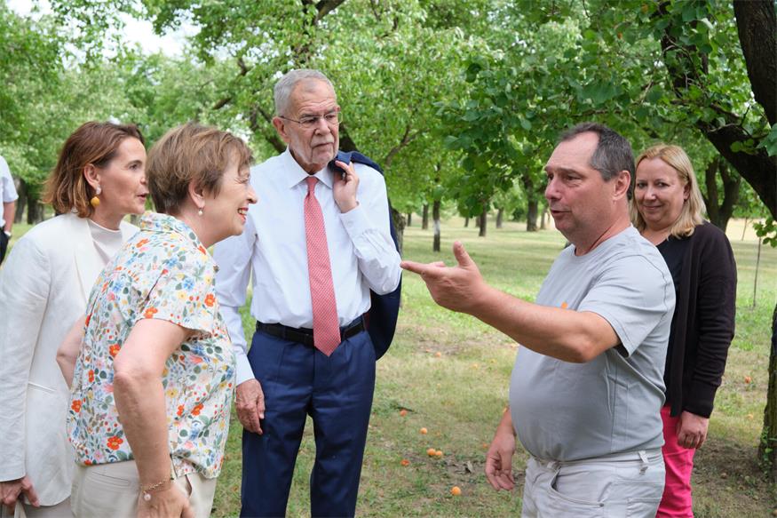 Größte Marillengemeinde Österreichs: Van der Bellen besuchte Kittsee