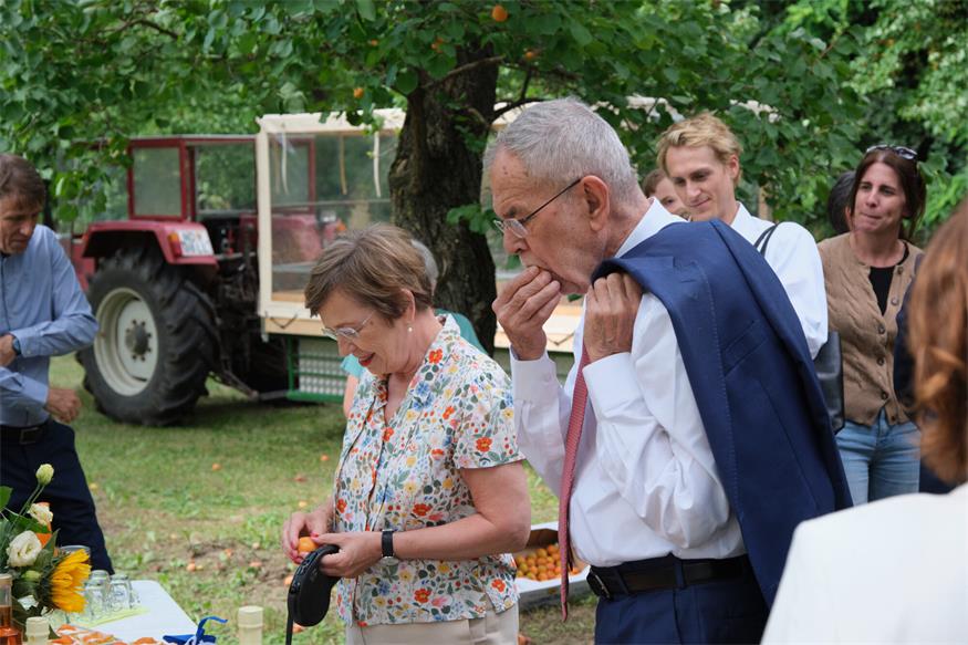 Größte Marillengemeinde Österreichs: Van der Bellen besuchte Kittsee