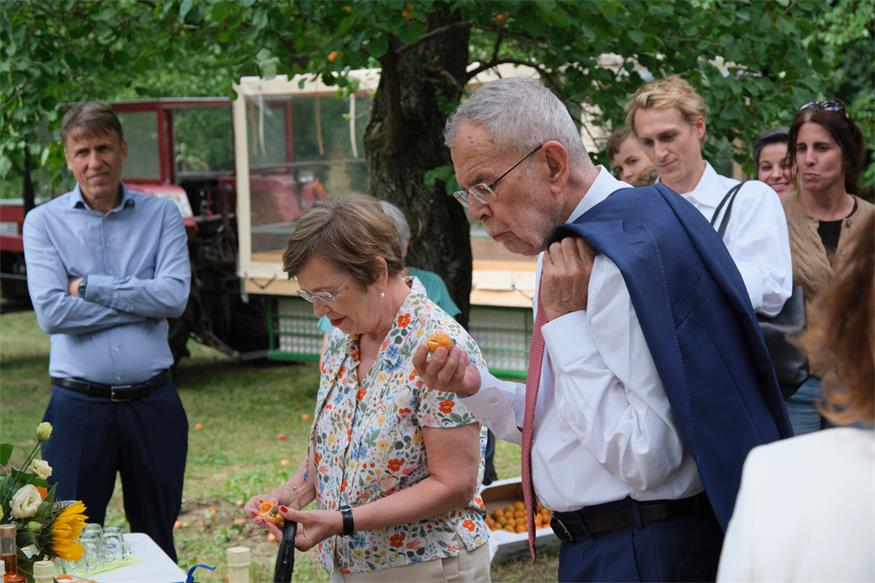 Größte Marillengemeinde Österreichs: Van der Bellen besuchte Kittsee