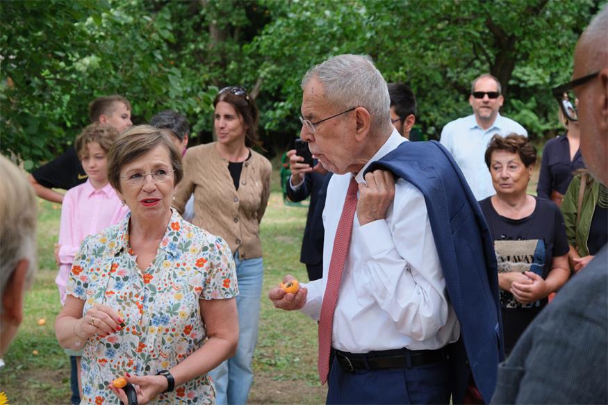Größte Marillengemeinde Österreichs: Van der Bellen besuchte Kittsee