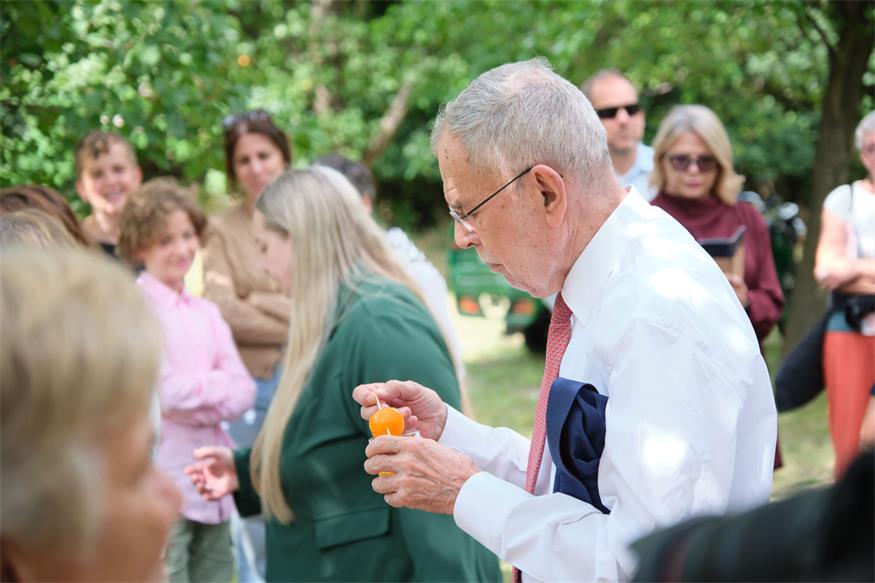 Größte Marillengemeinde Österreichs: Van der Bellen besuchte Kittsee