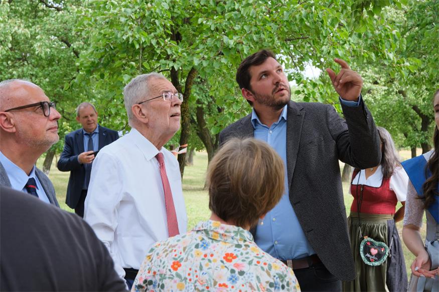 Größte Marillengemeinde Österreichs: Van der Bellen besuchte Kittsee