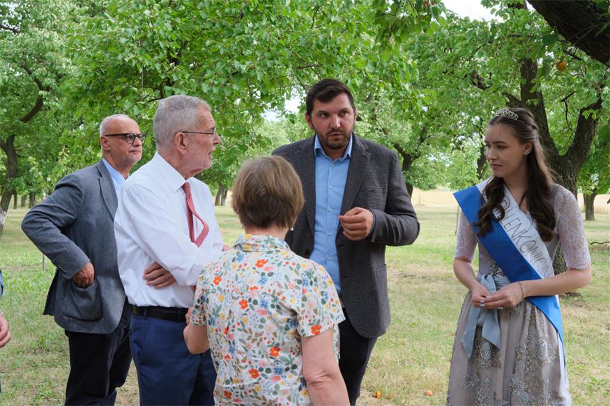 Größte Marillengemeinde Österreichs: Van der Bellen besuchte Kittsee