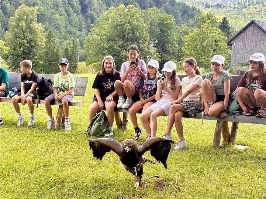 Spiel, Spaß, Gemeinschaft erleben beim Ferienlager der Pfarre Neudörfl