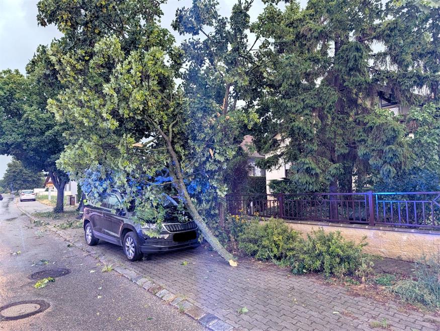 Sturmböen sorgen für Feuerwehreinsätze im Neusiedler Bezirk