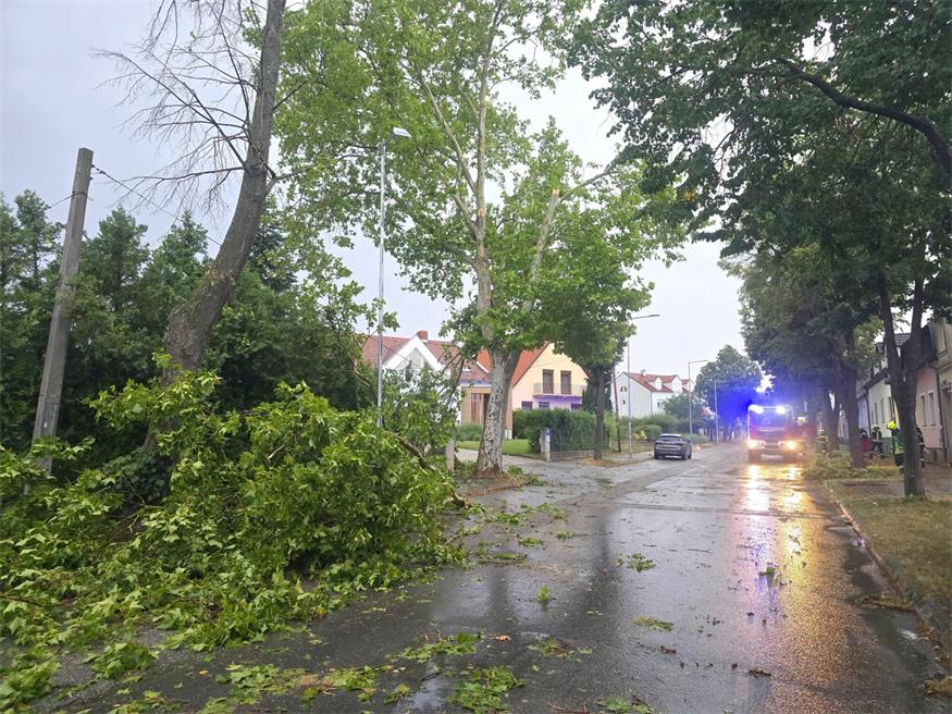 Sturmböen sorgen für Feuerwehreinsätze im Neusiedler Bezirk