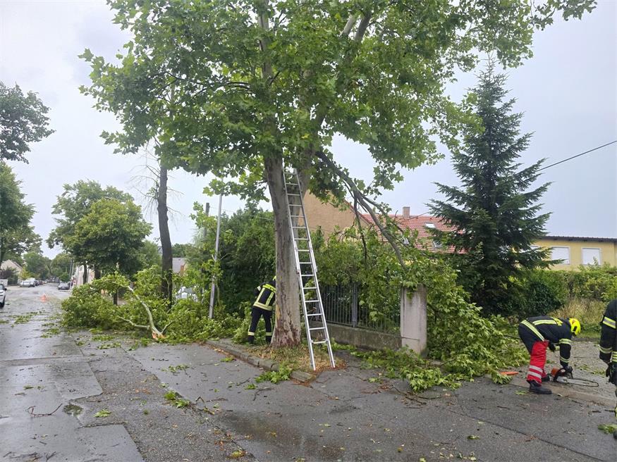 Sturmböen sorgen für Feuerwehreinsätze im Neusiedler Bezirk