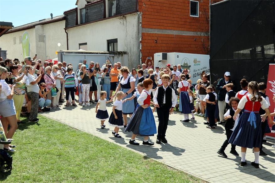 Neusiedl am See: Buntes Treiben beim Stadtfesterl - bis zum Gewitter