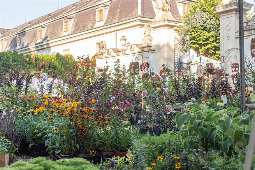 Im Schloss Halbturn bekam man „Lust auf Garten“