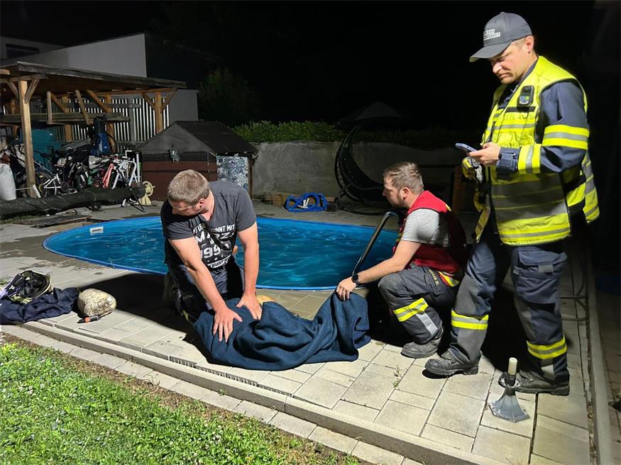 Reh ging baden, Feuerwehr musste ausrücken