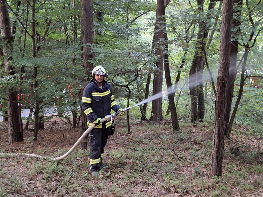 Waldbrand in Deutsch Gerisdorf: 120 FF-Leute im Übungseinsatz