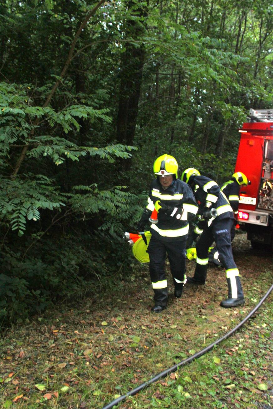 Waldbrand in Deutsch Gerisdorf: 120 FF-Leute im Übungseinsatz