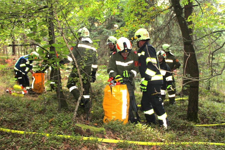 Waldbrand in Deutsch Gerisdorf: 120 FF-Leute im Übungseinsatz