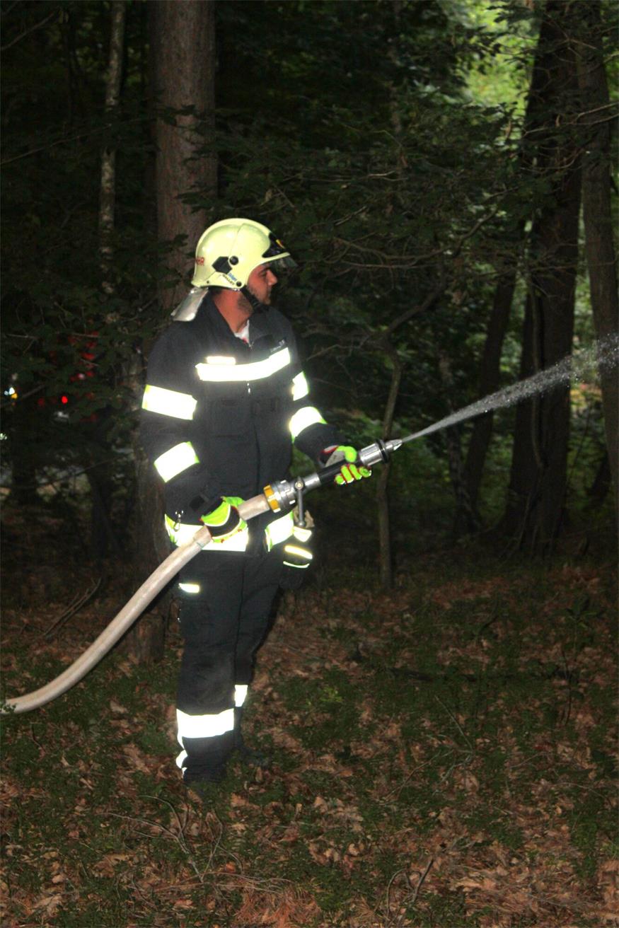 Waldbrand in Deutsch Gerisdorf: 120 FF-Leute im Übungseinsatz