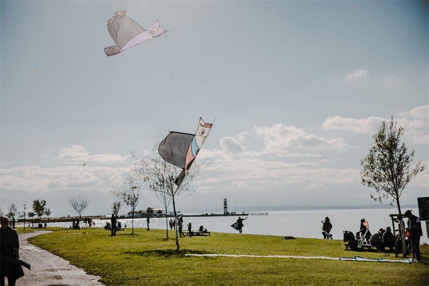 Herbst in Podersdorf: Vom Seifenblasenfest bis Halloween