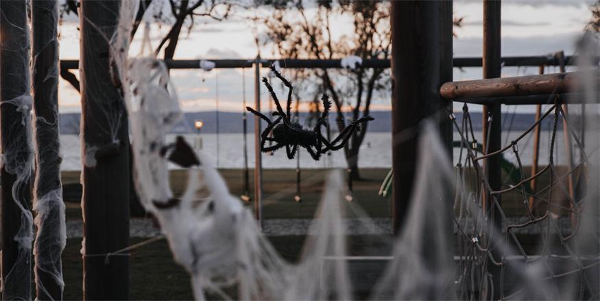 Herbst in Podersdorf: Vom Seifenblasenfest bis Halloween