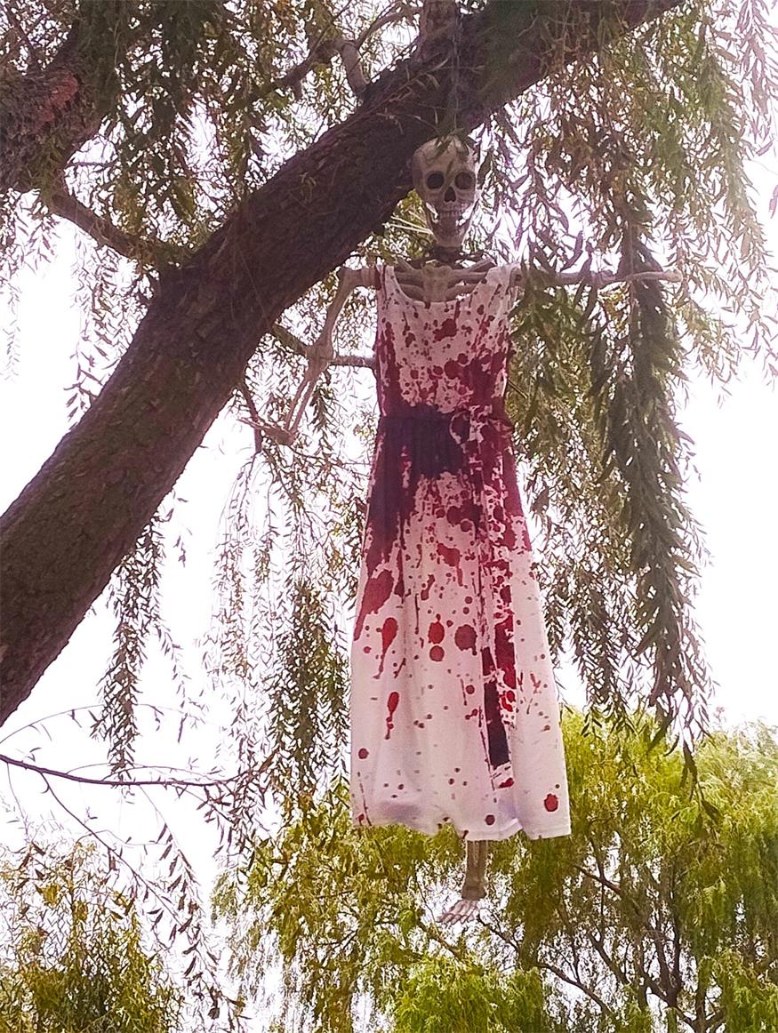 Herbst in Podersdorf: Vom Seifenblasenfest bis Halloween