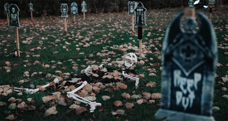 Herbst in Podersdorf: Vom Seifenblasenfest bis Halloween