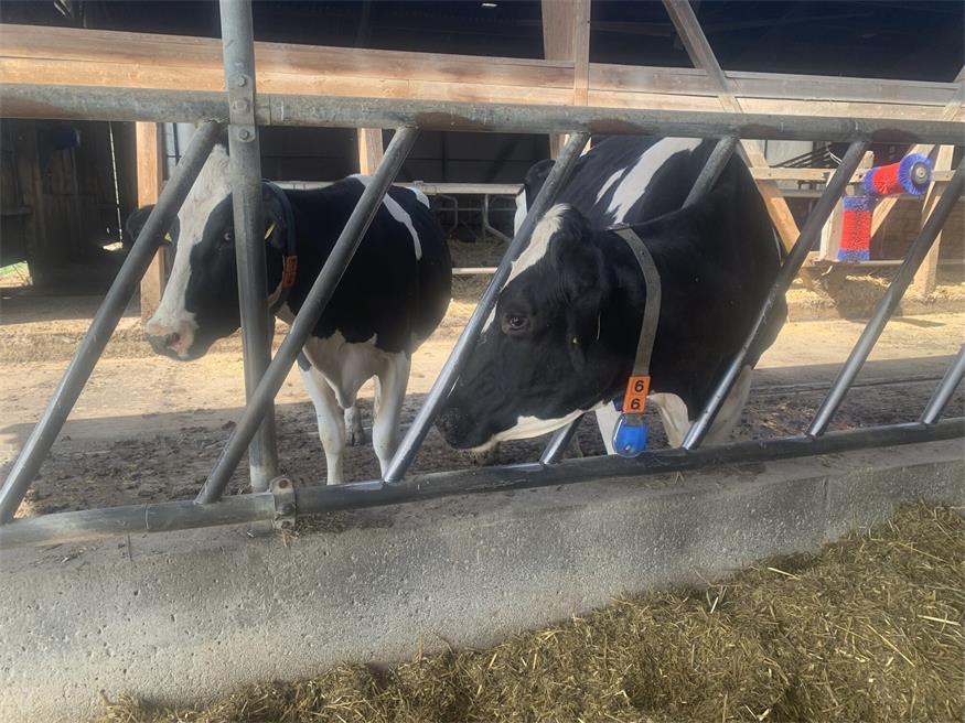 Landwirtschaftlicher Innovationsbetrieb in Lackendorf