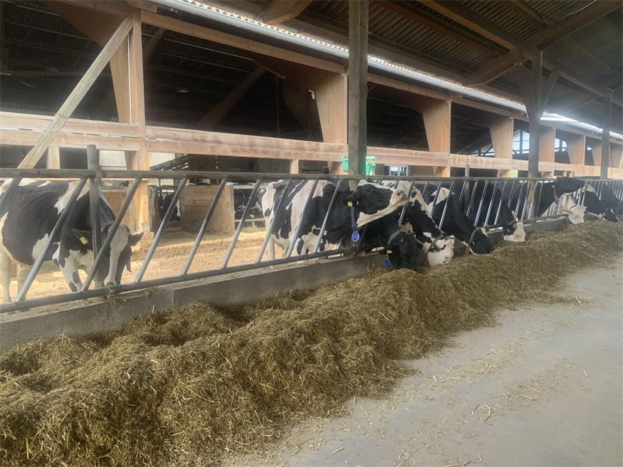 Landwirtschaftlicher Innovationsbetrieb in Lackendorf